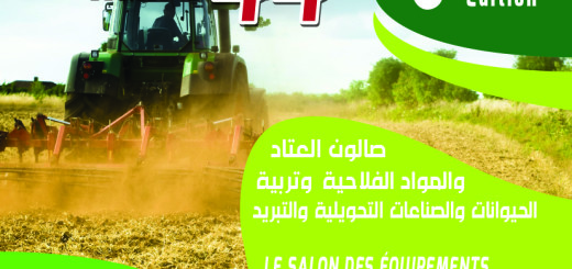 Affiche Agricole Ain Defla 2019  2