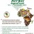 afrika agro food 2022